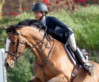 Equine Sports