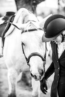Rider Cup LA Equestrian Center